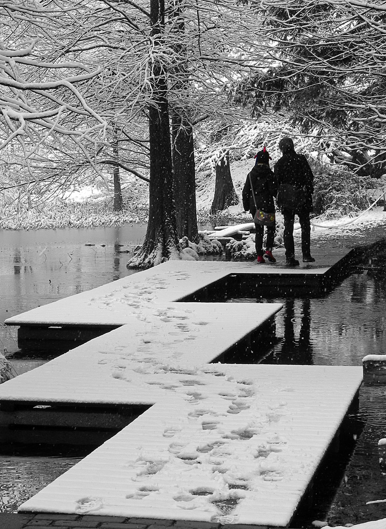 Botanischer Garten Bochum 1 0 Foto Bild Stillleben