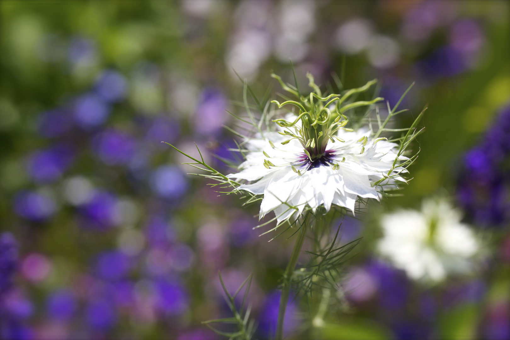 Botanischer Garten Bochum 2