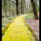 Botanischer Garten Bochum 2