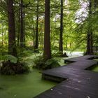 Botanischer Garten Bochum