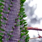 Botanischer Garten Bochum 3