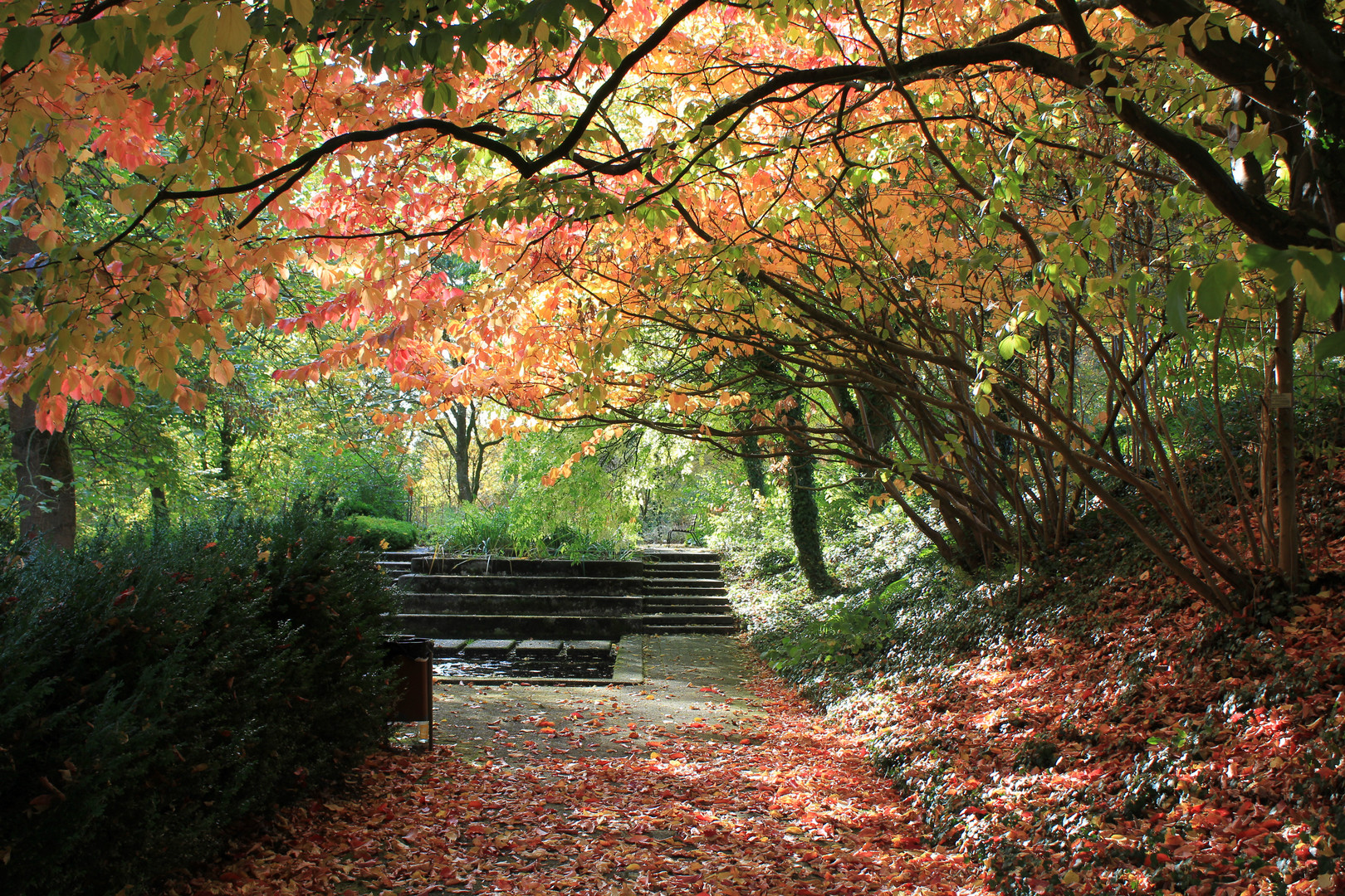 Botanischer Garten Bochum