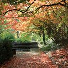 Botanischer Garten Bochum