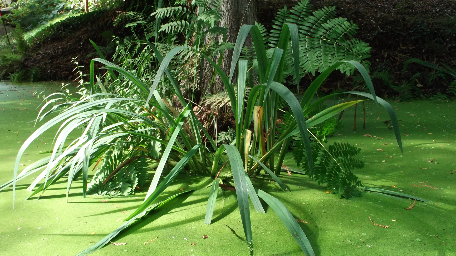 Botanischer Garten Bochum