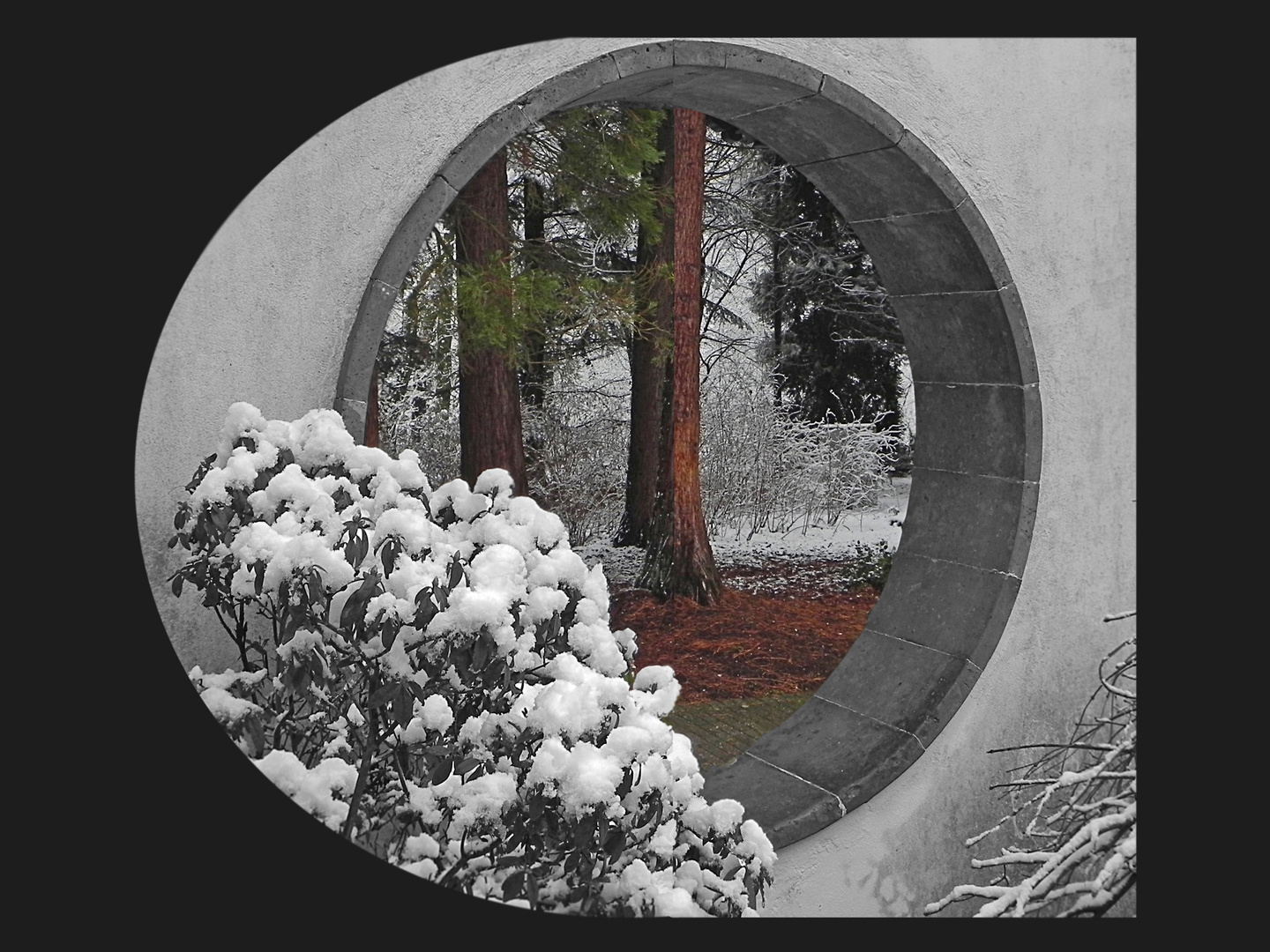 Botanischer Garten Bochum 7 0 Foto Bild Stillleben