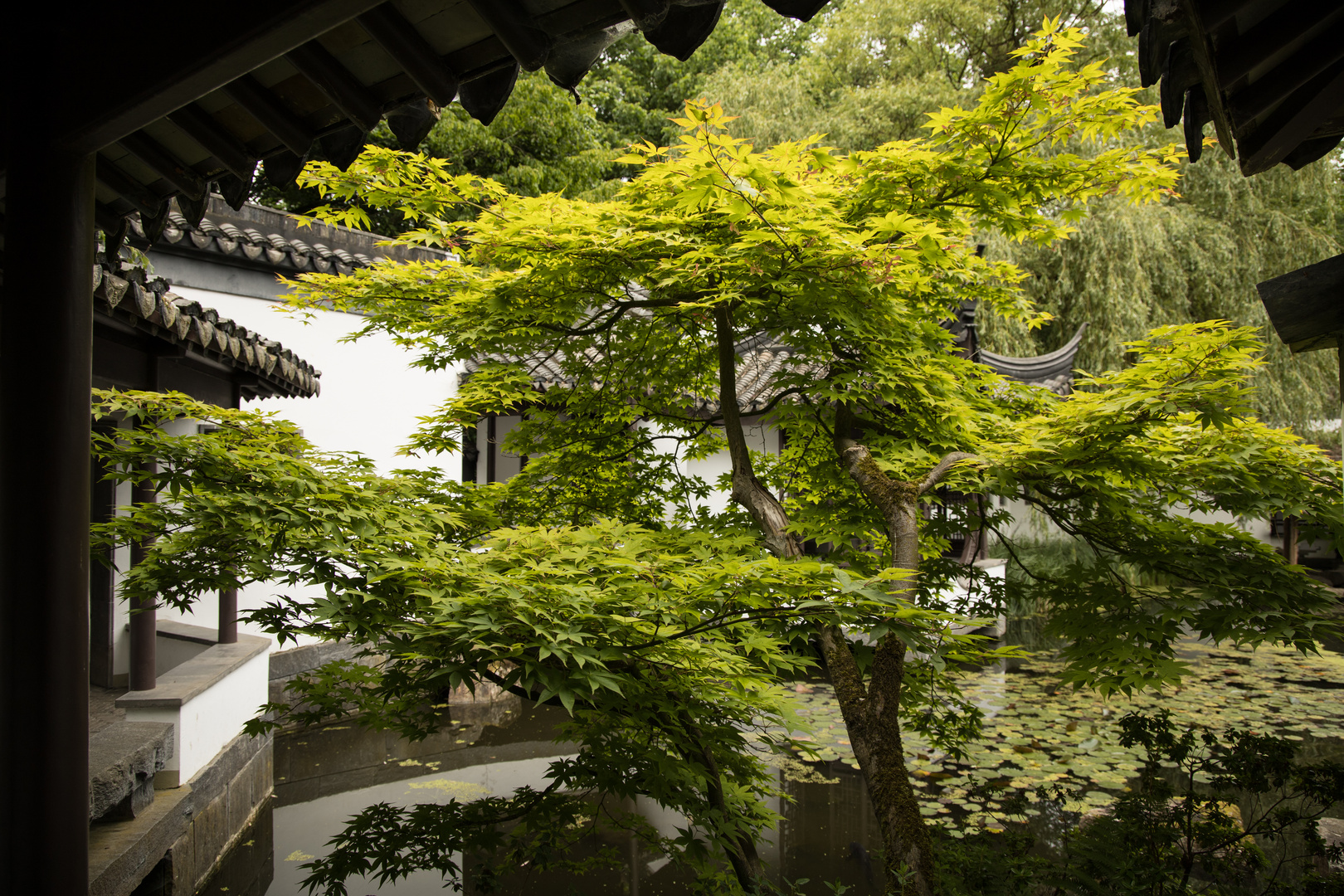 Botanischer Garten Bochum Foto & Bild deutschland