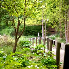 Botanischer Garten Bochum