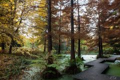 Botanischer Garten Bochum im Herbst