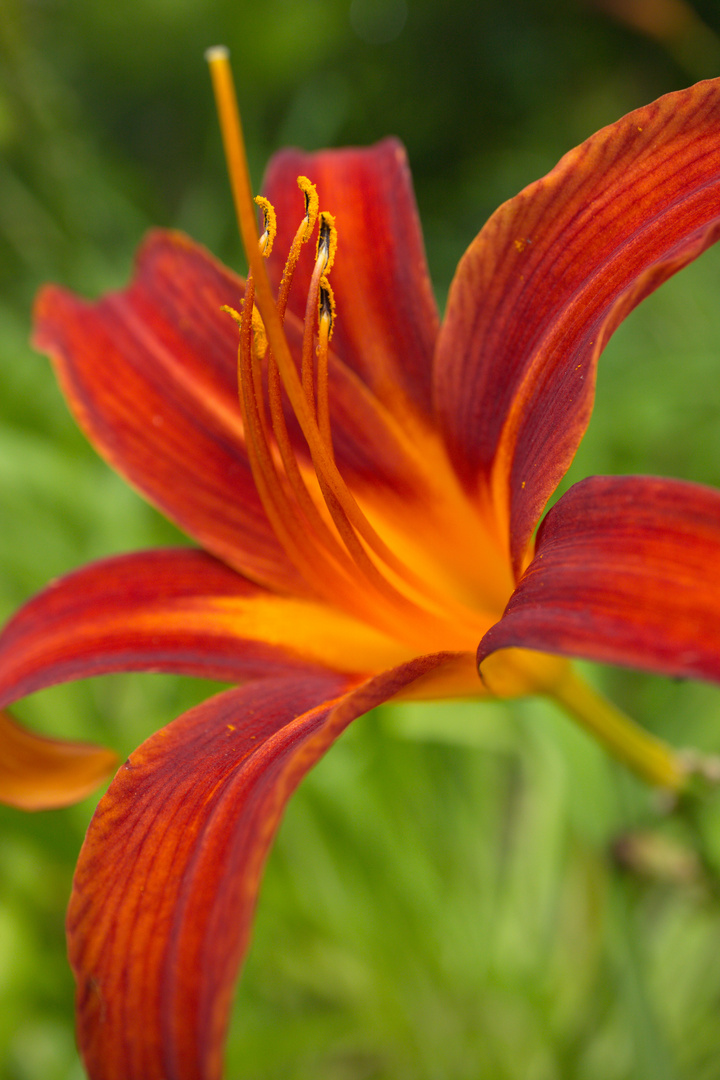 botanischer garten bochum_111