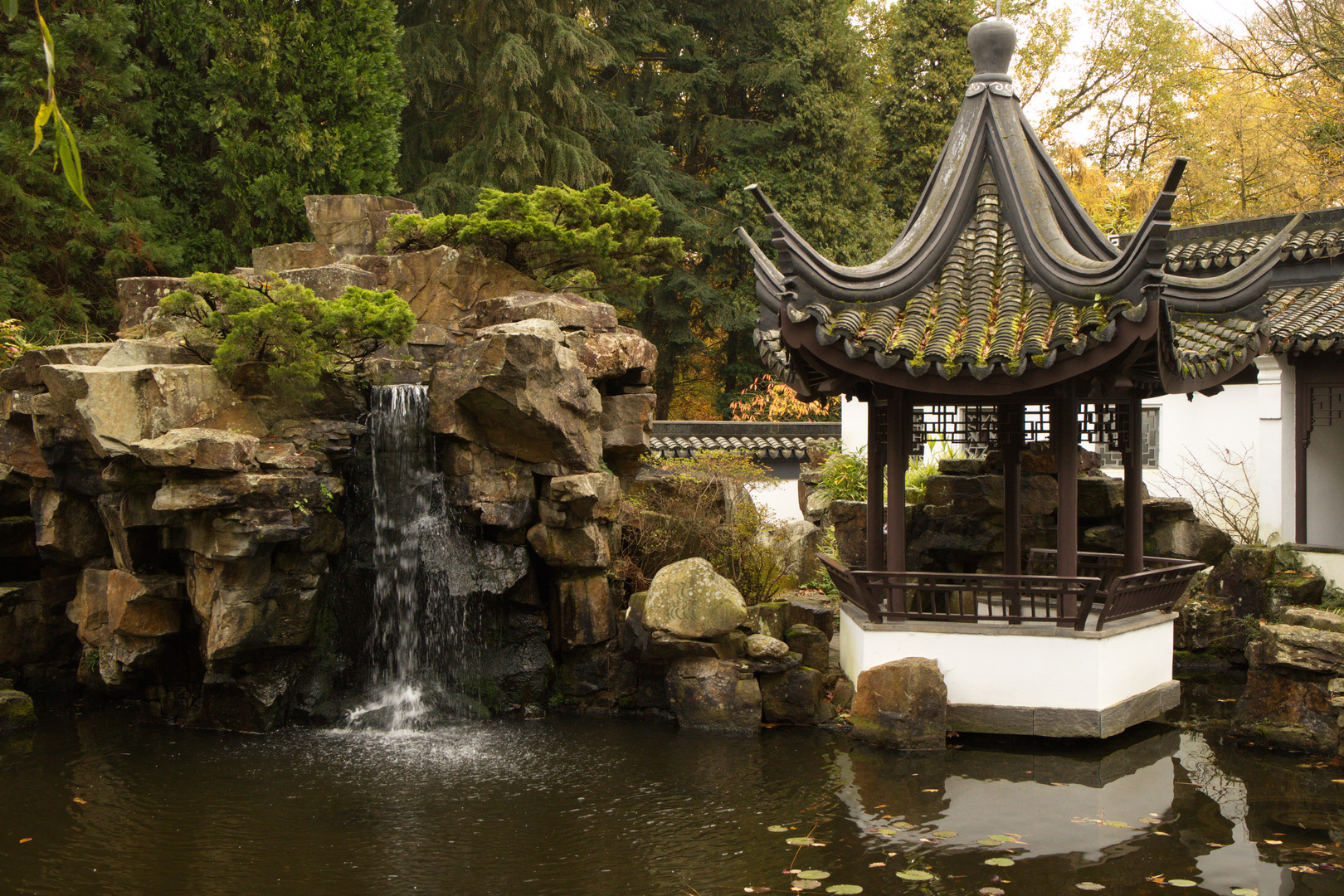 botanischer garten bochum_132 Foto & Bild anfängerecke