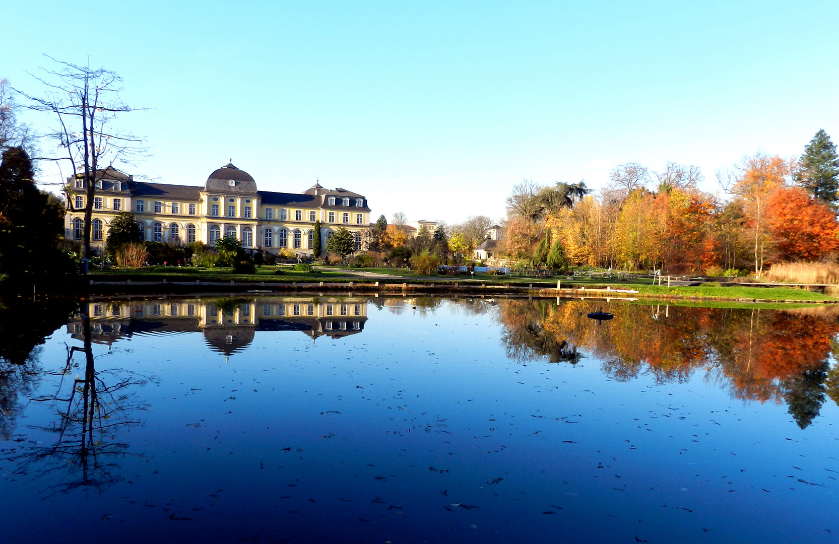 Botanischer Garten Bonn