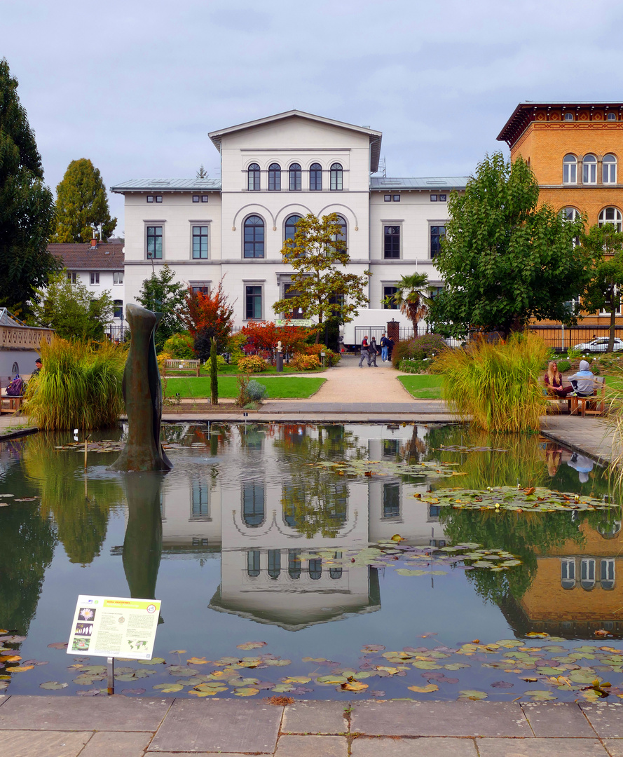 Botanischer Garten Bonn Foto & Bild deutschland, europe, nordrhein