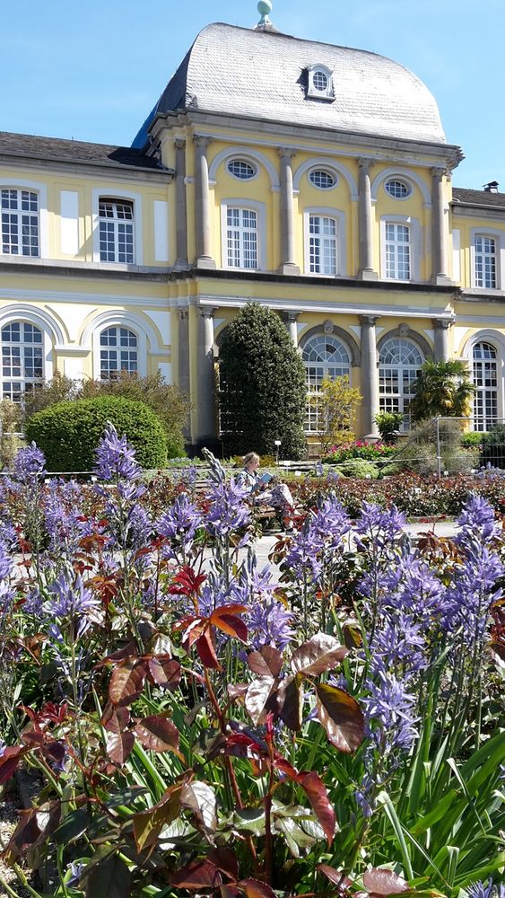 Botanischer Garten Bonn