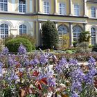 Botanischer Garten Bonn