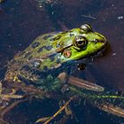 Botanischer Garten Bonn, Sonne macht munter ...