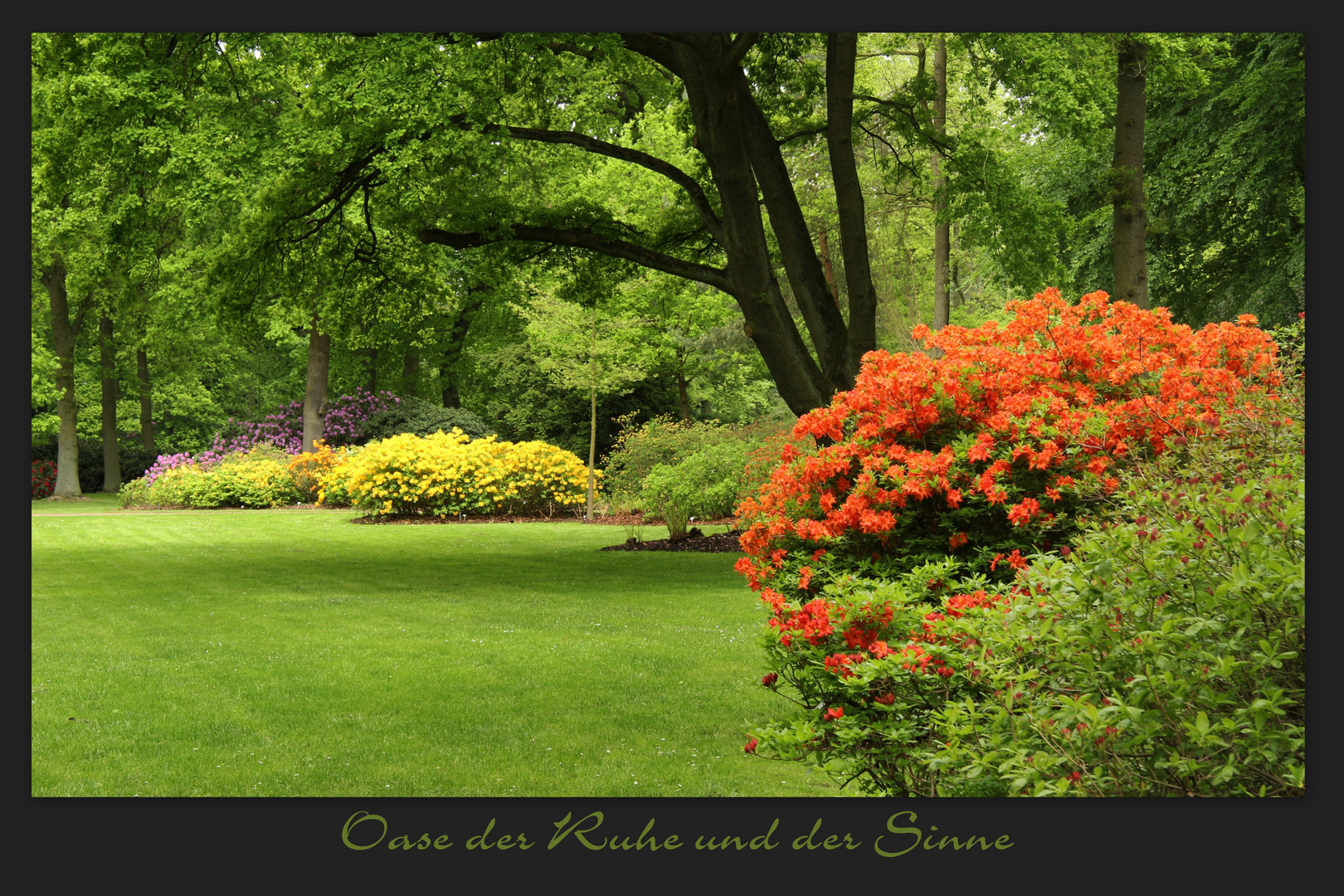 Botanischer Garten Bremen Ii Foto Bild Landschaft Garten