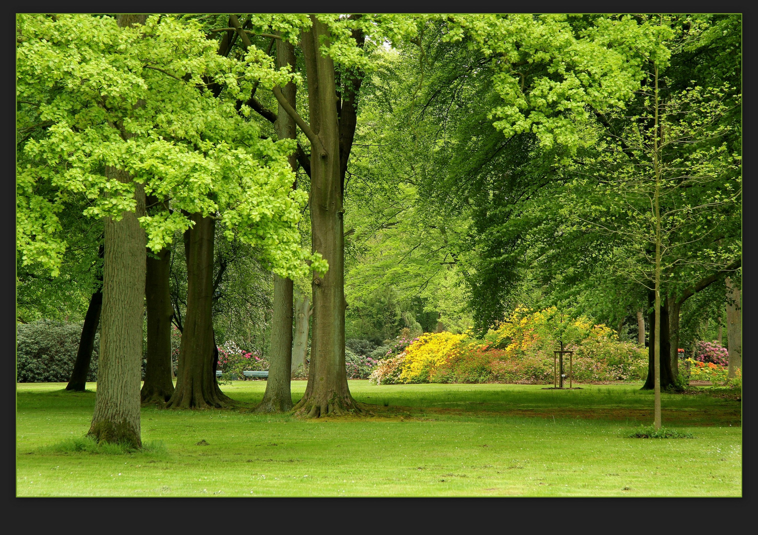 Botanischer Garten Bremen Iii Foto Bild Landschaft Garten