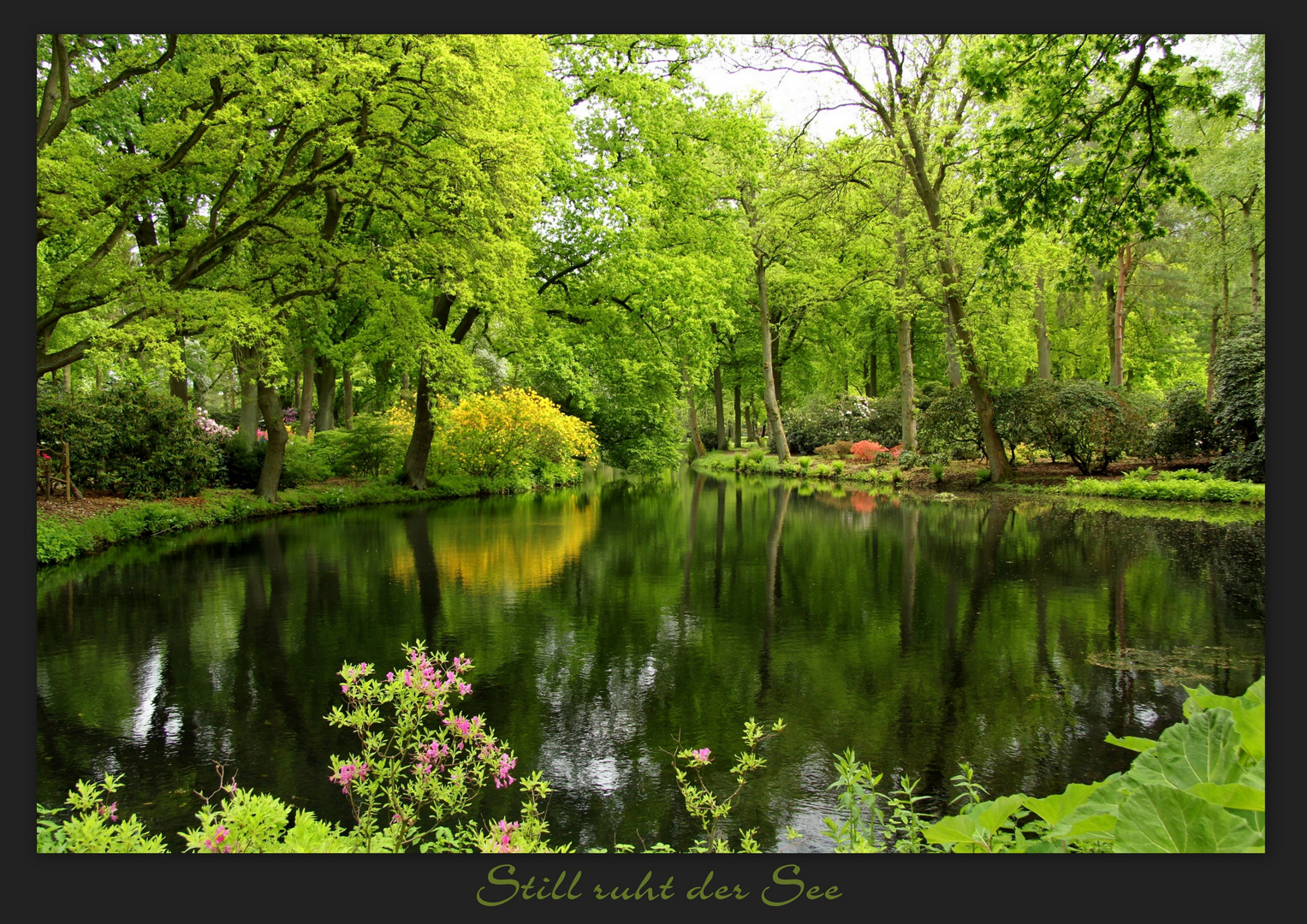 Botanischer Garten Bremen Iiii Foto Bild Landschaft