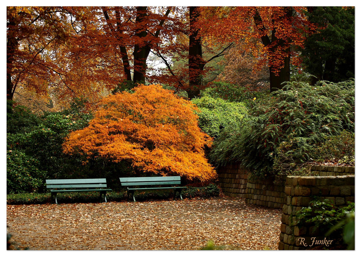 Botanischer Garten Bremen im Herbst 1 Foto & Bild