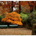 Botanischer Garten Bremen im Herbst 1