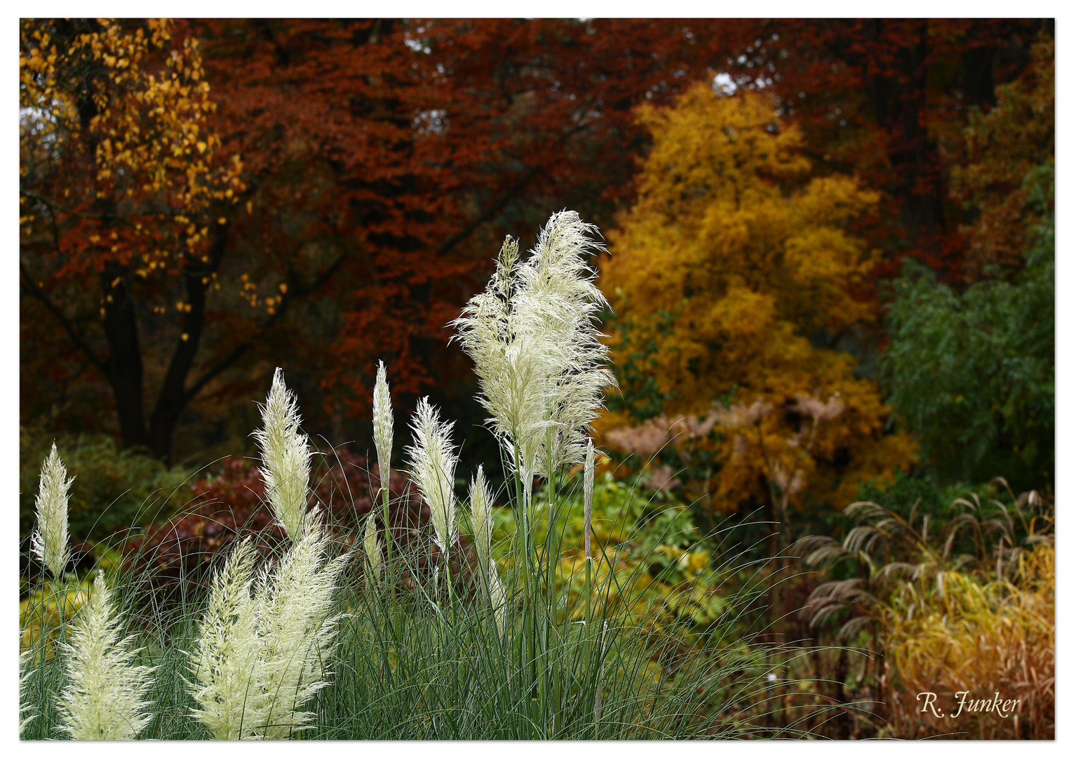 Botanischer Garten Bremen im Herbst 2