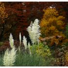 Botanischer Garten Bremen im Herbst 2