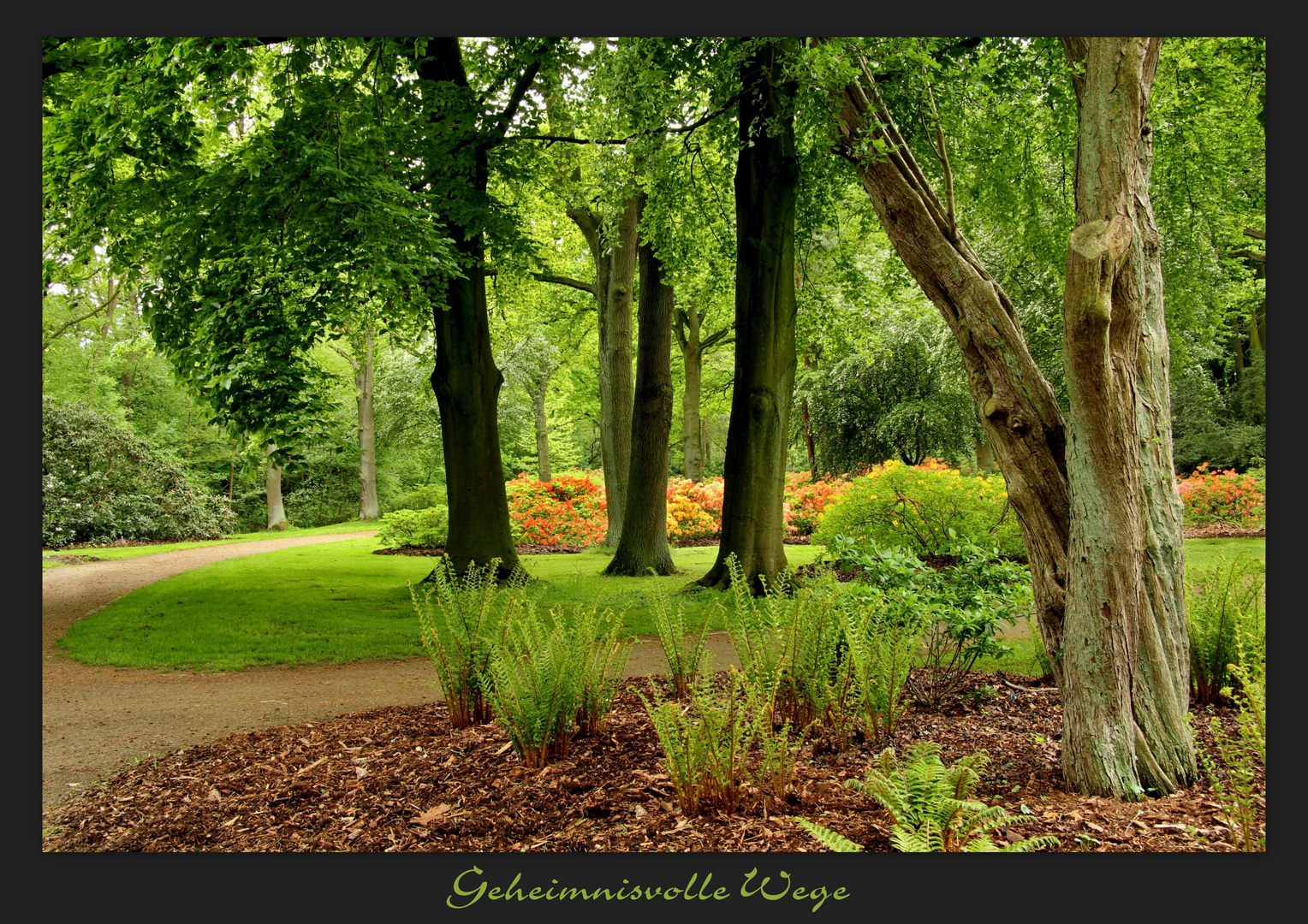 Botanischer Garten ( Bremen ) V Foto & Bild landschaft