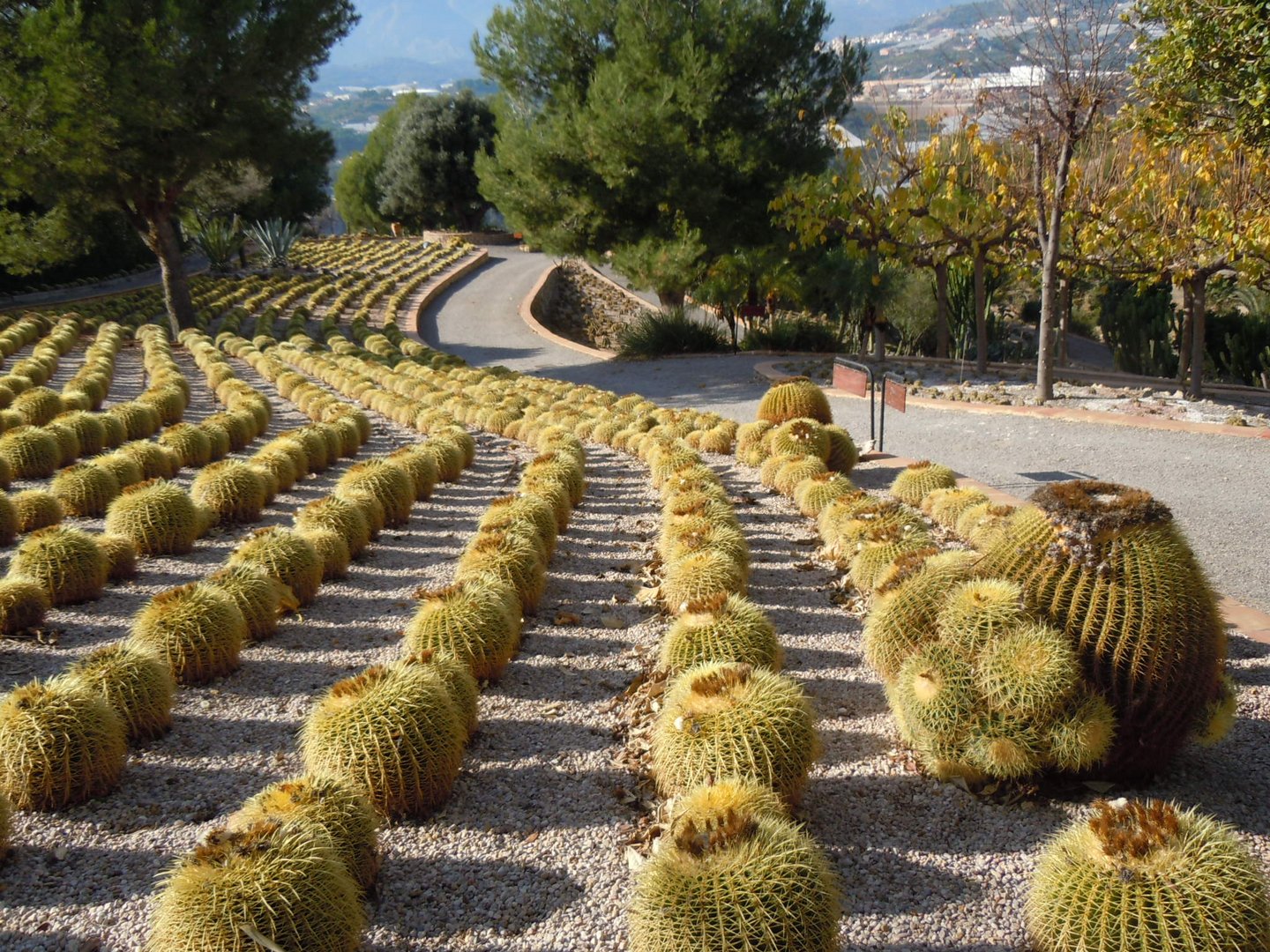 Botanischer Garten Callosa dEnsaria/Alicante