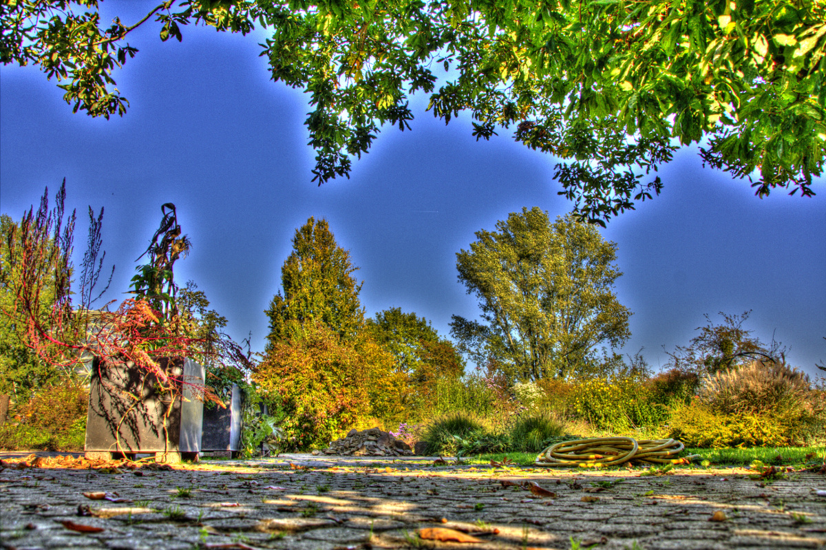 Botanischer Garten