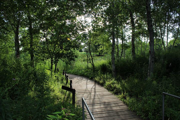 Botanischer Garten Chicago