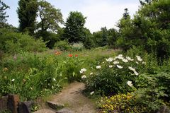 Botanischer Garten ...