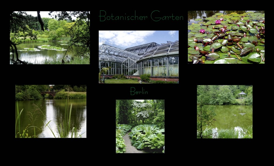 Botanischer Garten