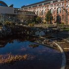 Botanischer Garten der Uni Basel 06