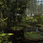 Botanischer Garten der Uni Basel 23