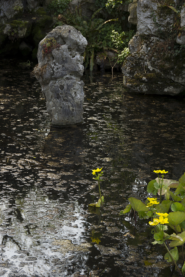 Botanischer Garten der Uni Basel 3