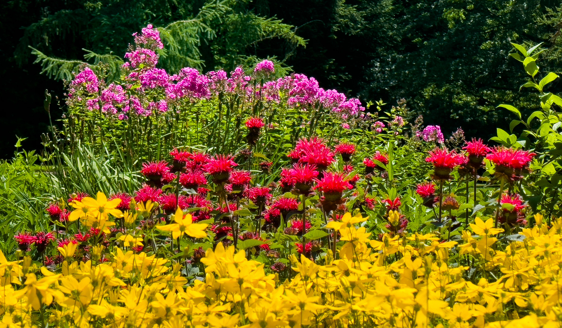 Botanischer Garten der Uni Hohenheim