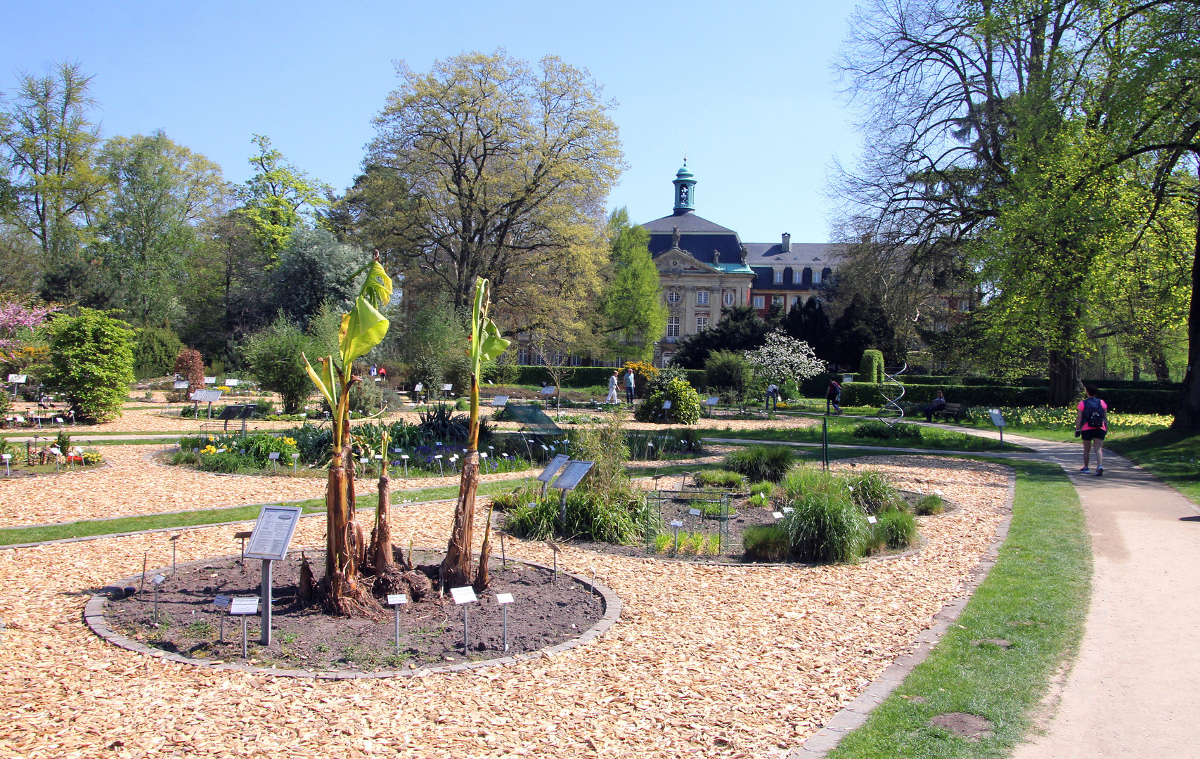 Botanischer Garten Münster Botanischer Garten Munster