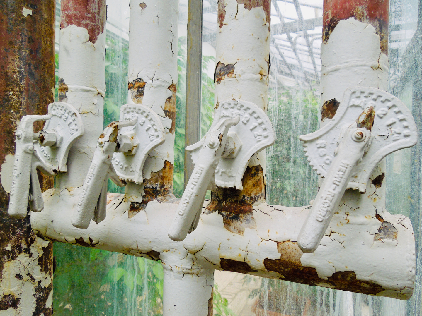 Botanischer Garten des Karlsruher Instituts für Technologie