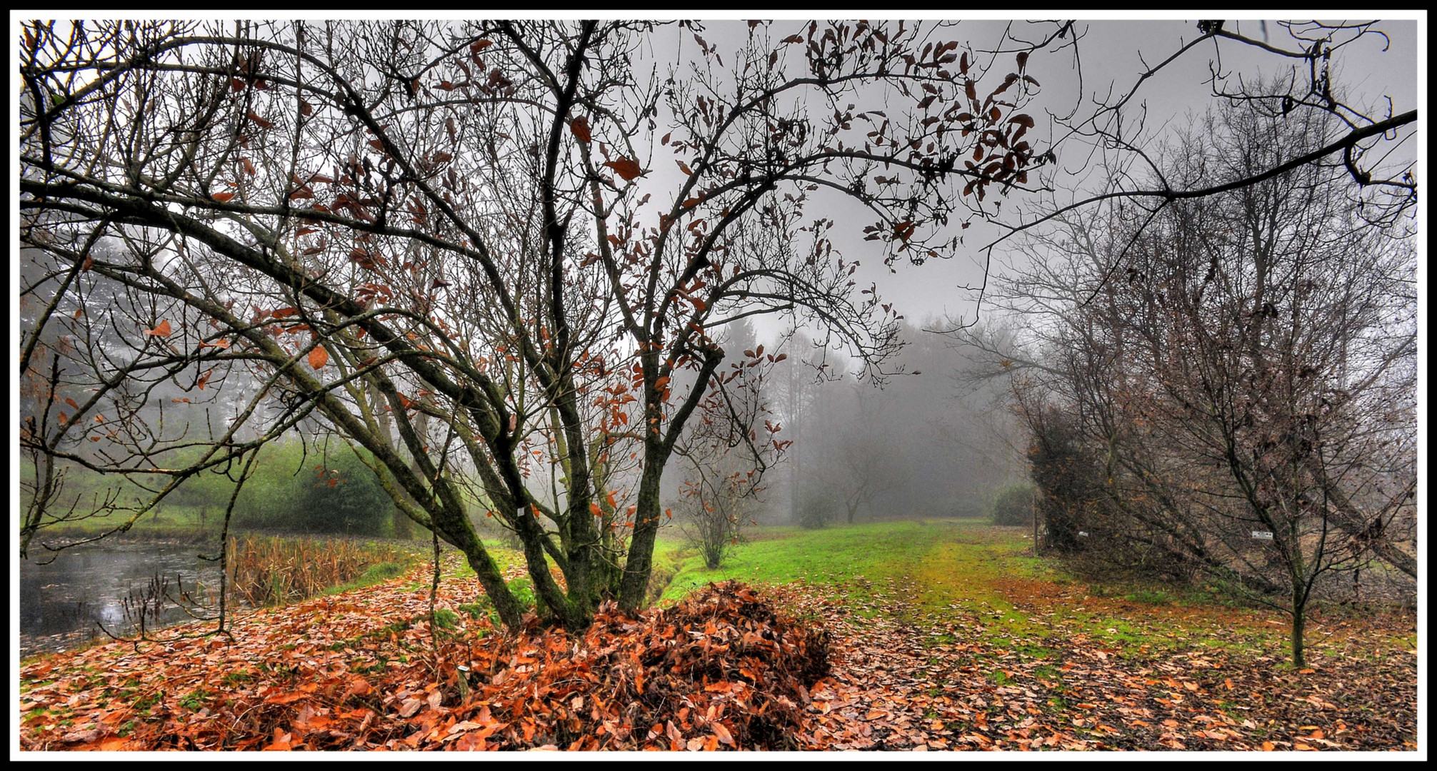 BOTANISCHER GARTEN DREI