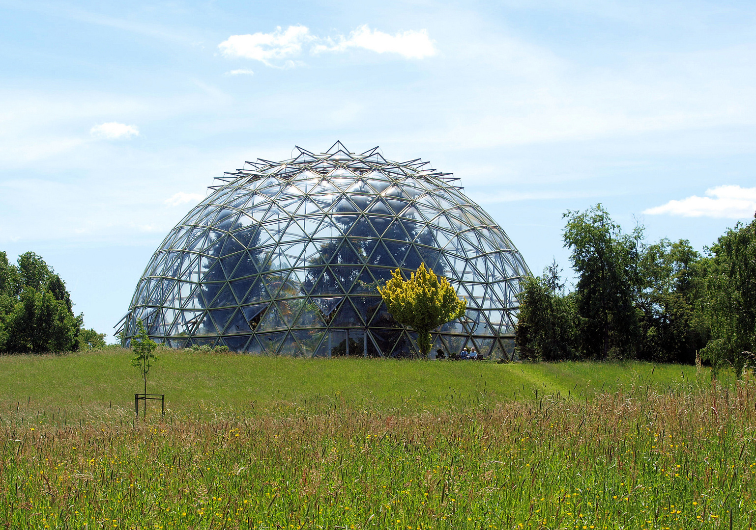 Botanischer Garten Düsseldorf Foto & Bild landschaft, garten