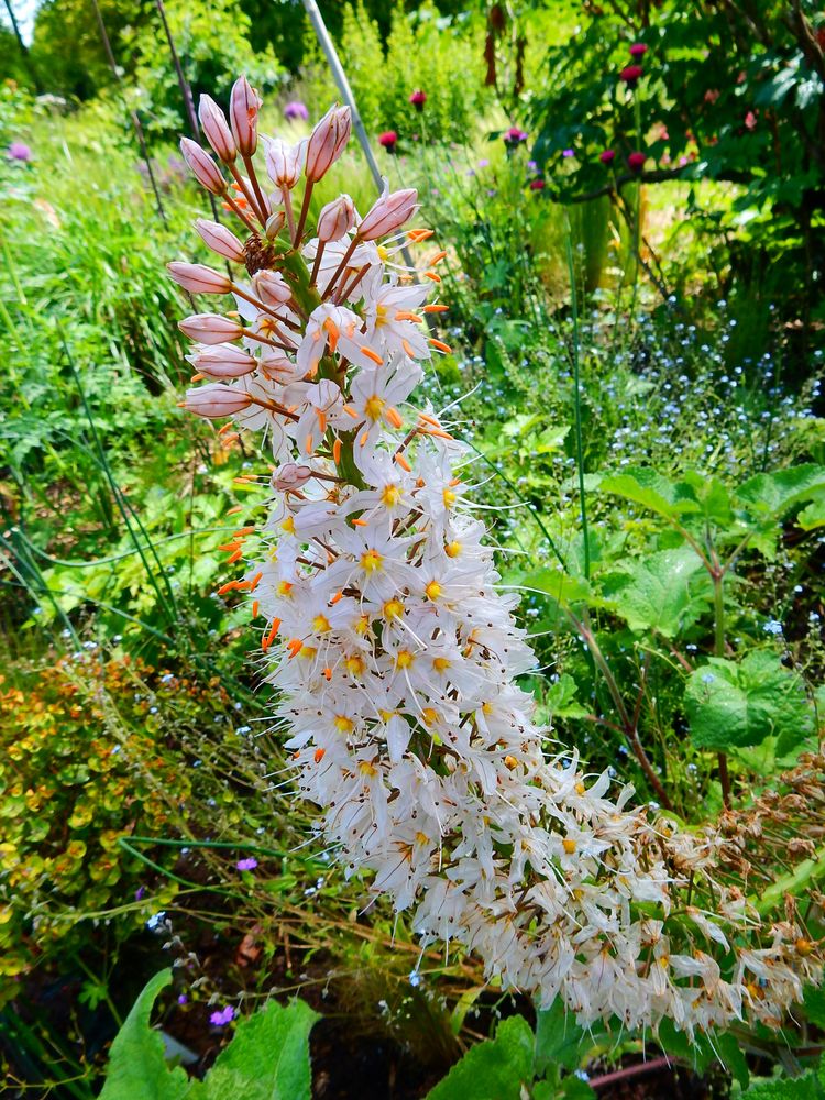 Botanischer Garten Düsseldorf