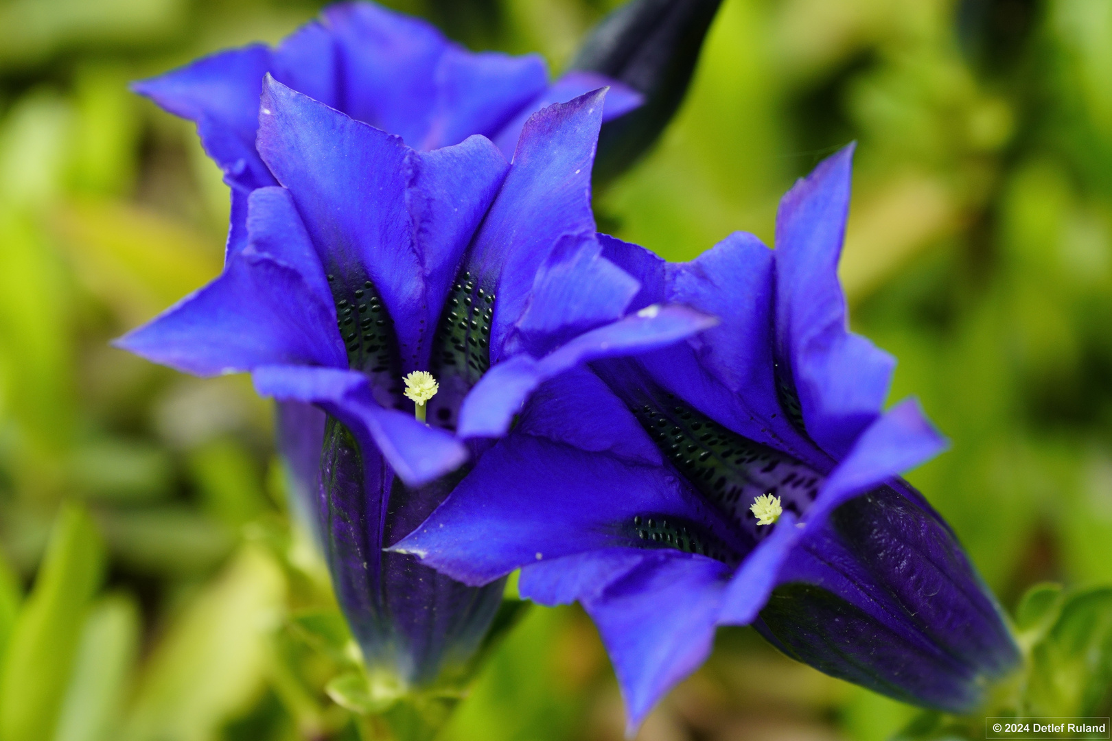 Botanischer Garten Düsseldorf # 10