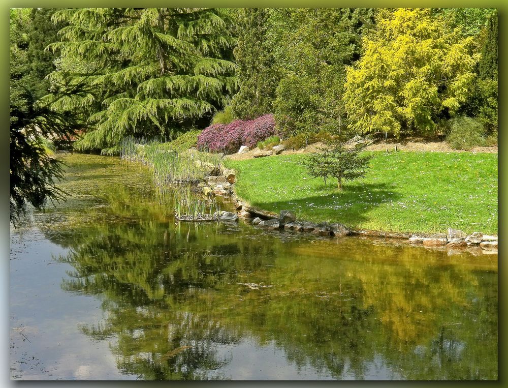Botanischer Garten Düsseldorf Foto & Bild landschaft, garten