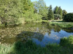 Botanischer Garten Düsseldorf