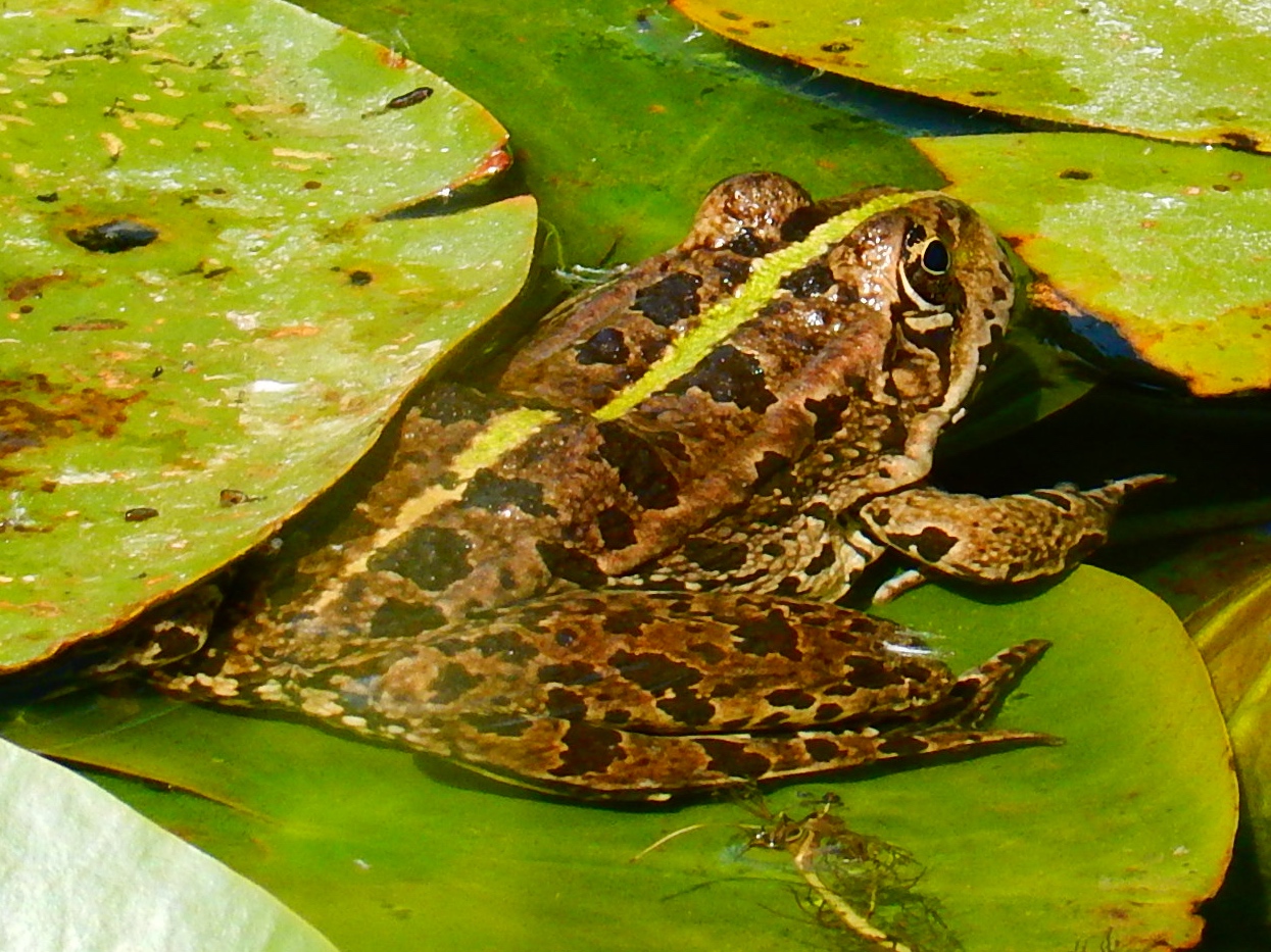 Botanischer Garten Düsseldorf