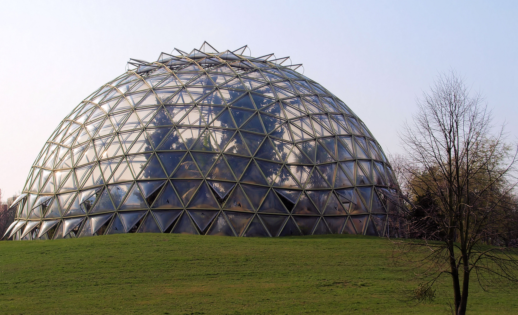 Botanischer Garten Düsseldorf