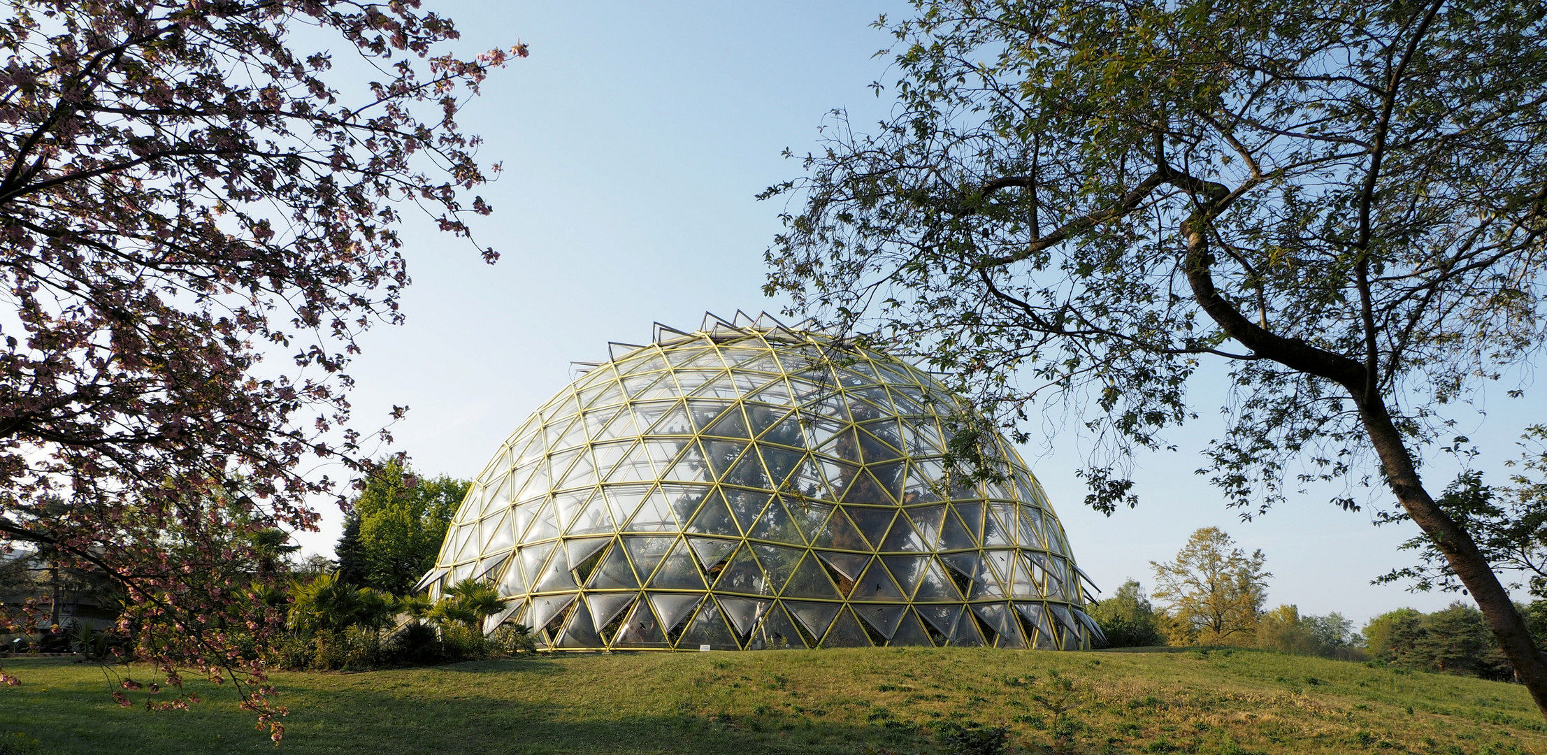 Botanischer Garten Düsseldorf...