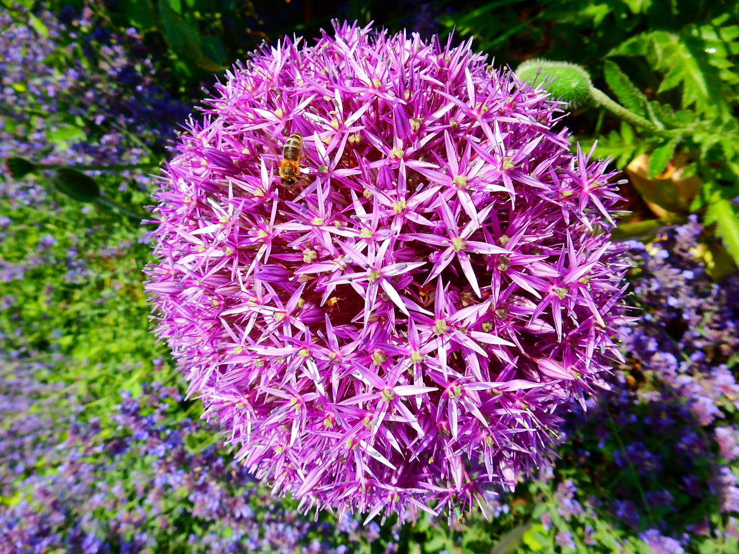 Botanischer Garten Düsseldorf