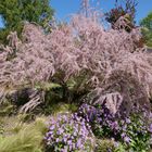 Botanischer Garten Düsseldorf