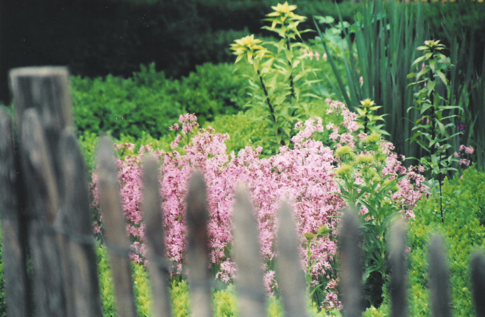 Botanischer Garten Düsseldorf